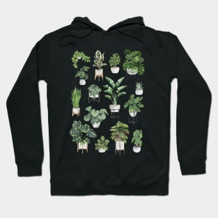 Potted Plants Collection Hoodie